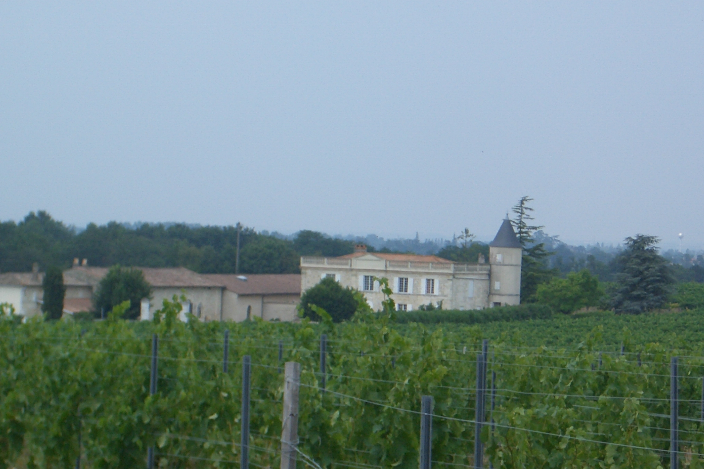 Laguens view